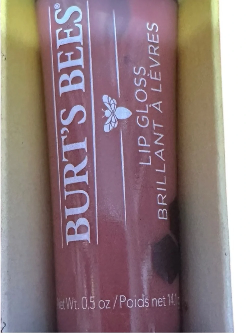Burt's Bees Lip Bundle 5 total in Bundle